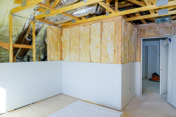 Best Cellulose Insulation  in Buffalo, NY