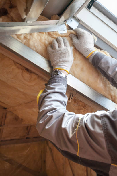 Best Insulation Removal  in Buffalo, NY