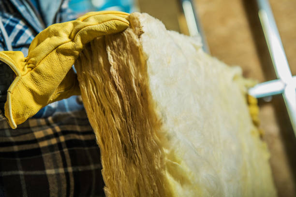 Best Fiberglass Insulation  in Buffalo, NY