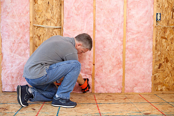 Best Affordable Insulation Services  in Buffalo, NY