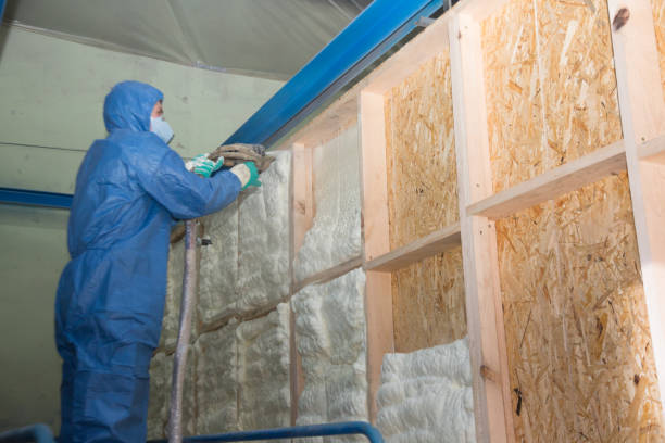 Best Insulation for New Construction  in Buffalo, NY