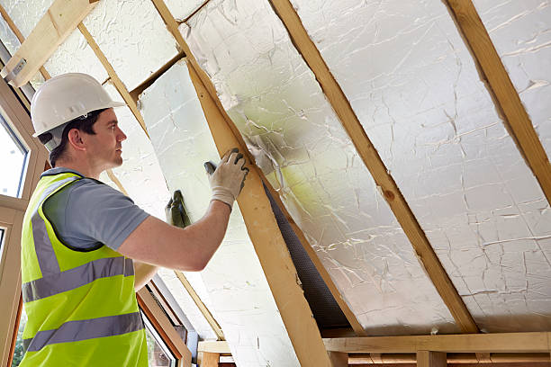 Best Insulation Inspection Services  in Buffalo, NY