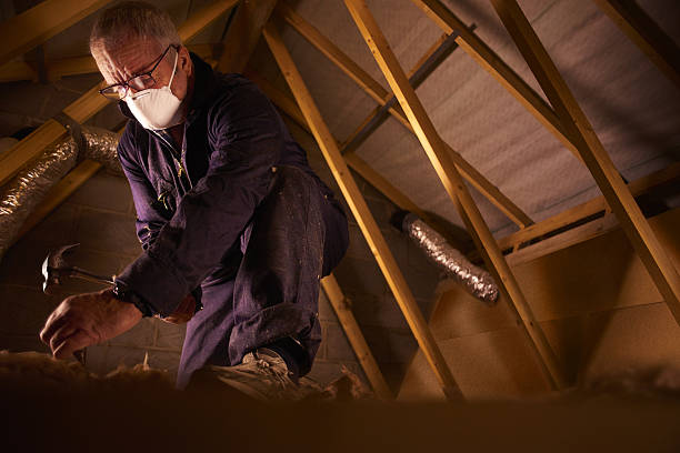 Best Attic Insulation Installation  in Buffalo, NY