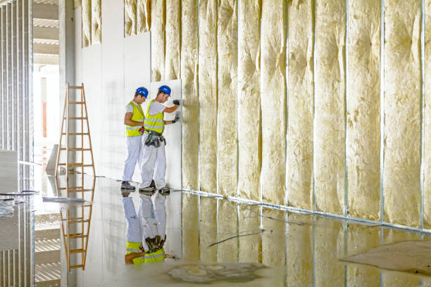 Best Garage Insulation Installation  in Buffalo, NY